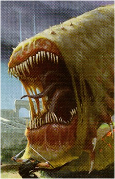 Grothama's image