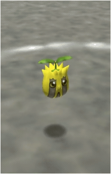 Image 44