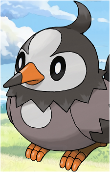 Starly's image