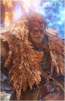 The Owl's image