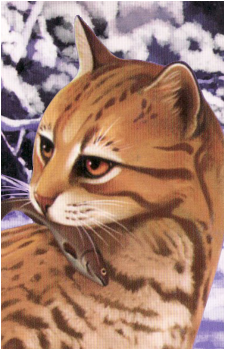 Leopardstar's image