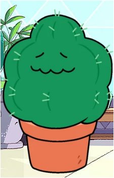 Cactus Steven