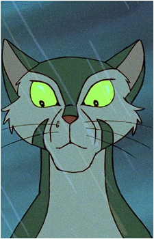 Francis {Felidae}