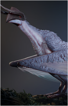 The Shyyyo Bird's image
