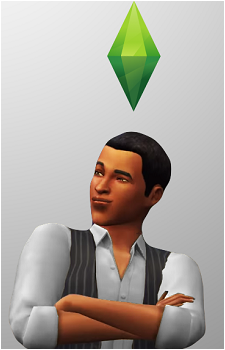 Sim's image