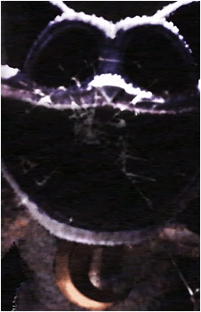 Image 41
