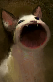 Pop Cat's image