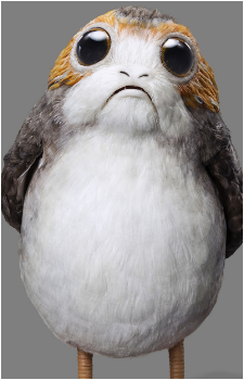 Porg