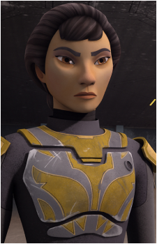 Ursa Wren