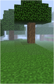 Image 13