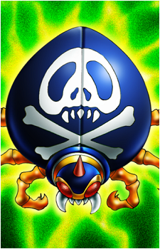 Skull-Mark Ladybug's image