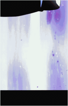 Image 2 Image 2