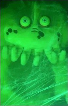 Wiggly's image
