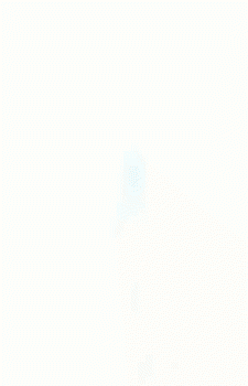 Image 257