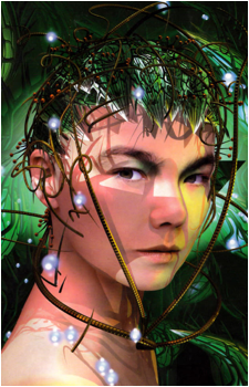 Björk