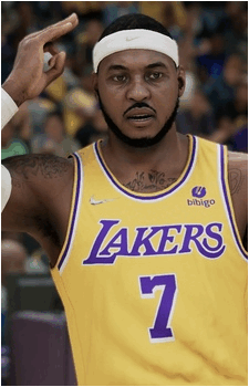 Carmelo Anthony's image