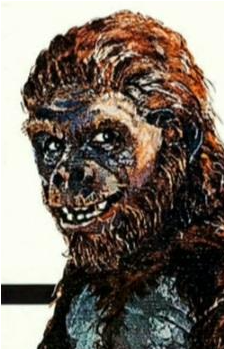 Schlock's image