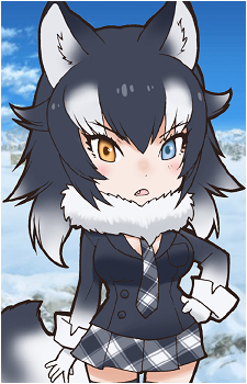 Gray Wolf