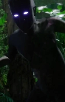 Pan's Shadow's image