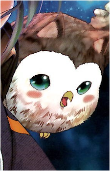 Kotan's image