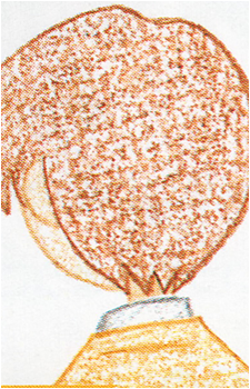 Image 45
