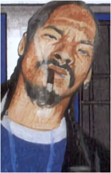 Image 31