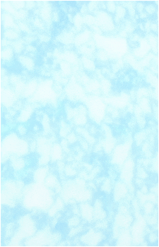 Image 41 Image 41