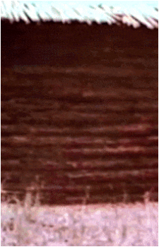 Image 6 of Kool-Aid Man