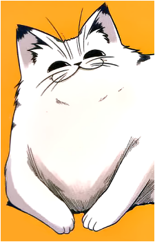 Tonnura-san's image