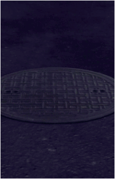 Image 22