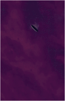 Image 23