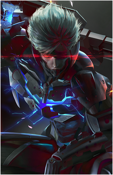 Image 20 of Raiden