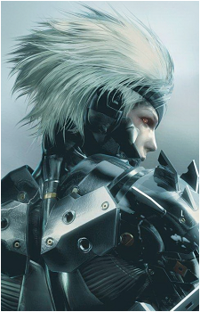 Image 13 of Raiden