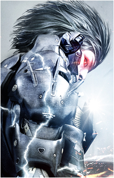 Image 7 of Raiden
