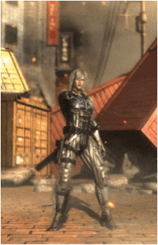 Image 28 of Raiden