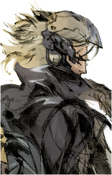 Image 14 of Raiden