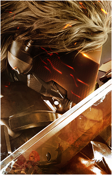 Image 5 of Raiden