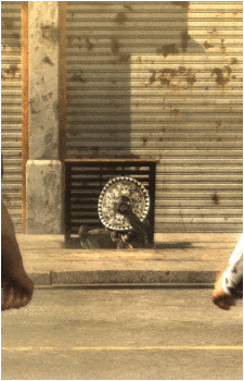 Image 25 of Raiden