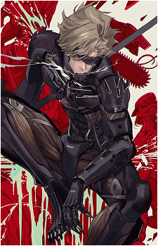 Image 19 of Raiden