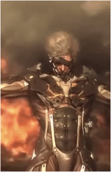 Image 27 of Raiden