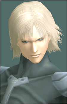 Image 10 of Raiden