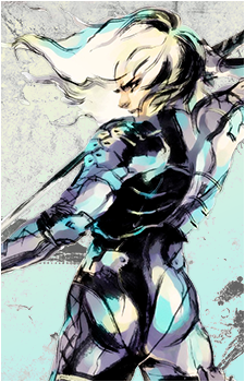 Image 17 of Raiden
