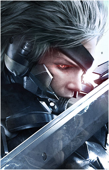Image 16 of Raiden
