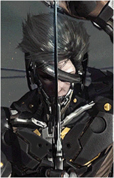 Image 26 of Raiden