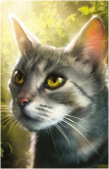 Shadowsight's image