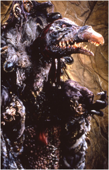 SkekShod's image