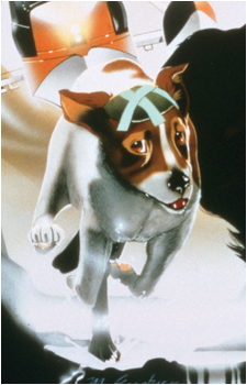 Snitter's image
