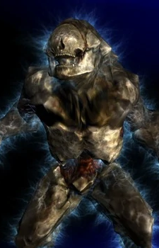 Invulnerability Hunter's image