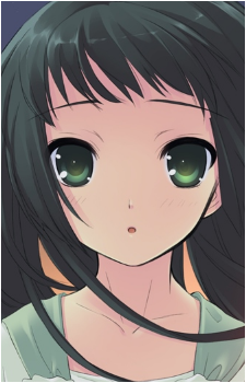 Image 4 Image 4