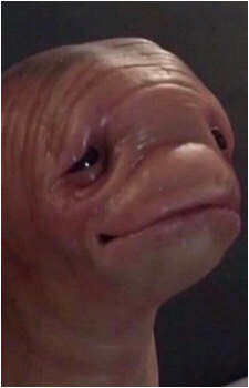 VineMeat's image